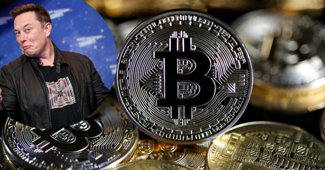 Tesla CEO Elon Musk and Bitcoin symbol on coin.
