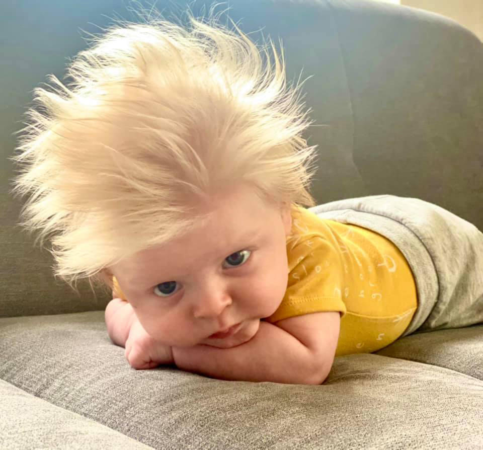 David is now three months old and has very thick, blond hair. (Caters)