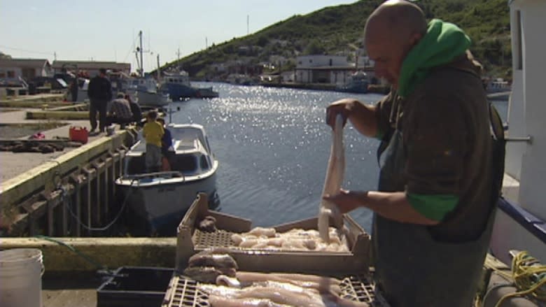 Push and pull, as fishermen debate proposed tourist fishery