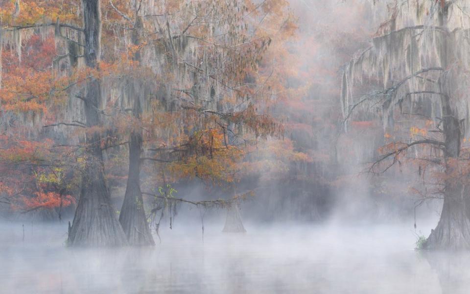 Credit: Marsel Van Oosten/The 12th EPSON International Pano Awards/thepanoawards.com