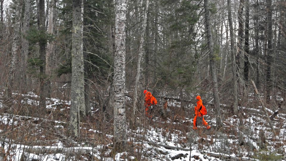 While deer-vehicle collisions cause the vast majority of injuries to people, hunting mishaps are not unheard of. - Dennis Anderson/Star Tribune/Getty Images