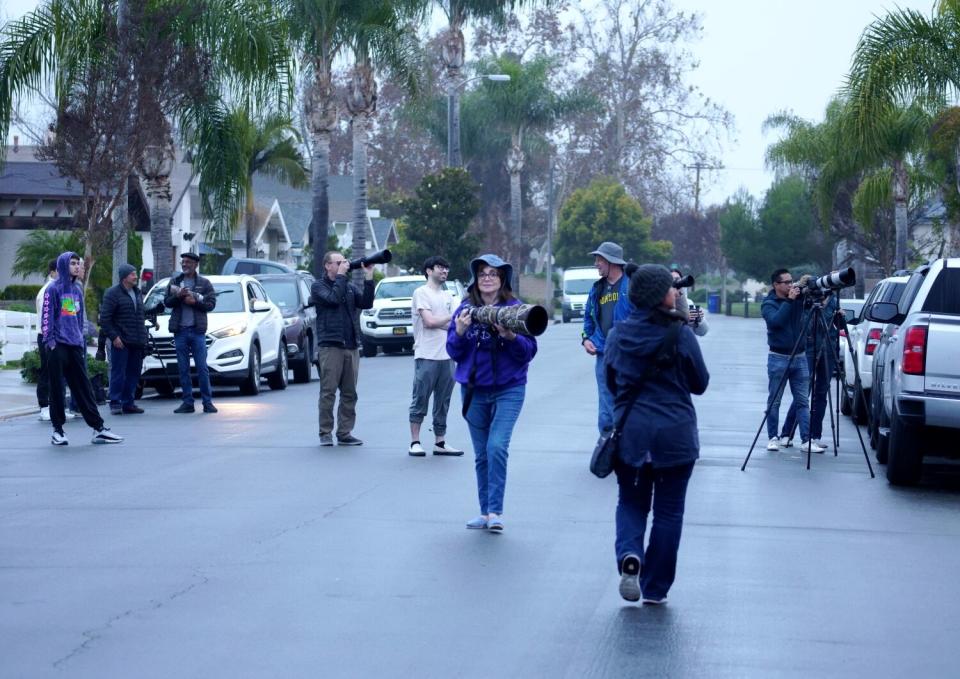 People, some with very large cameras, stand in a suburban street.