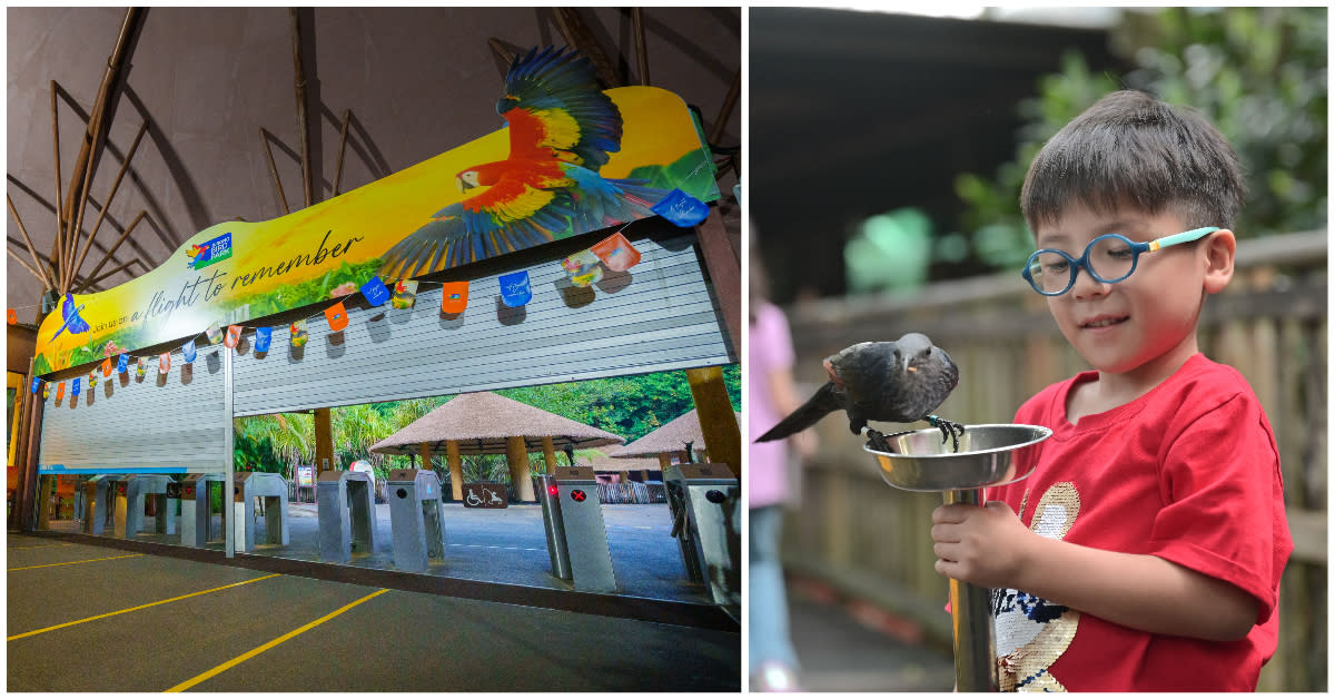 Jurong Bird Park closes its shutters for good on its 52nd birthday (left), as over 2,600 visitors came on the final day before the birds are relocated to the new Bird Paradise later this year. (PHOTOS: Mandai Wildlife Group)