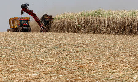 FILE PHOTO: Sugar cane is harvested at a plantation of Da Mata, the Brazilian sugar cane processor, in Valparaiso, 355 miles northwest of Sao Paulo September 18, 2014.REUTERS/Paulo Whitaker/File Photo