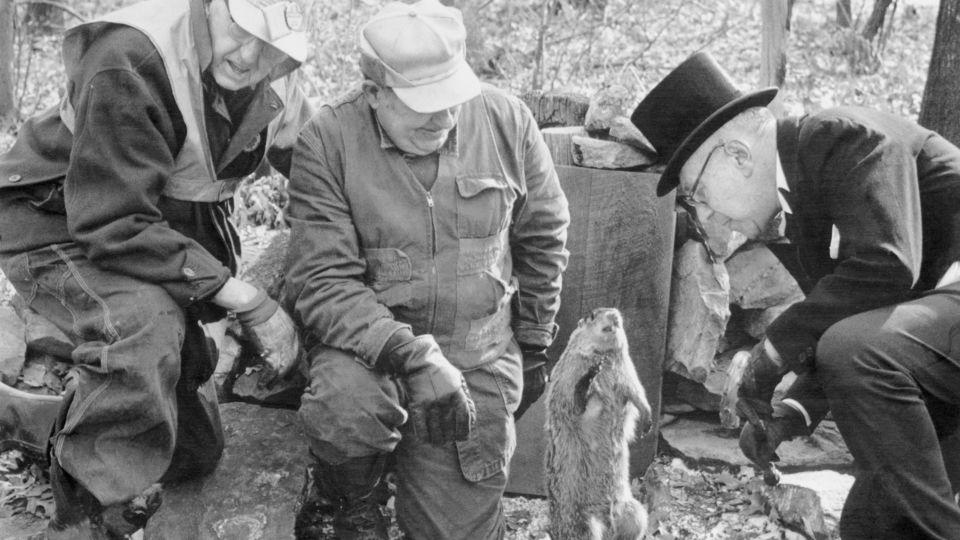 In 1973, Punxsutawney Phil delighted onlookers with his cuteness and disappointed them by predicting six more weeks of winter. - Bettmann Archive/Getty Images