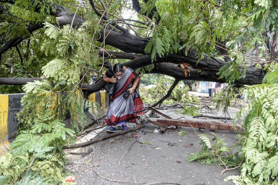 TOPSHOT - A woman makes her way under a fallen tree on a street following heavy rains in Hyderabad on October 14, 2020. (Photo by NOAH SEELAM / AFP) (Photo by NOAH SEELAM/AFP via Getty Images)