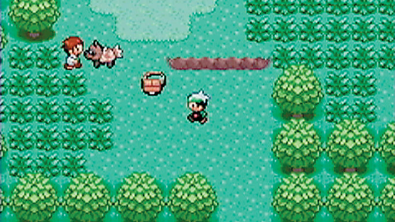 Pokemon Emerald screenshot showing the layer walking in a grassy forest area, towards a trainer and a zigzagoon