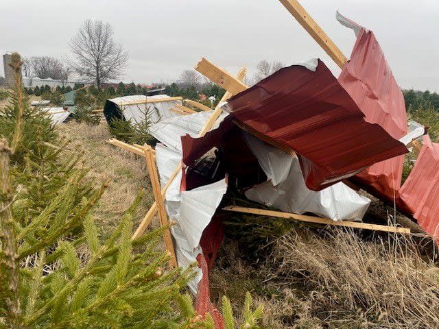 Young's Christmas Tree Farm Damage