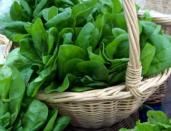 <div class="caption-credit"> Photo by: ThinkStock</div><div class="caption-title">Calcium-Rich Veggies, Part 2: Leafy Greens</div>Dark, leafy greens are arguably the best non-dairy sources of calcium. Try kale, arugula, watercress, and collard greens either cooked or in your salads. However, while spinach gives you iron and other nutrients, it contains oxalic acid. This makes its calcium content unavailable for absorption by the human body.