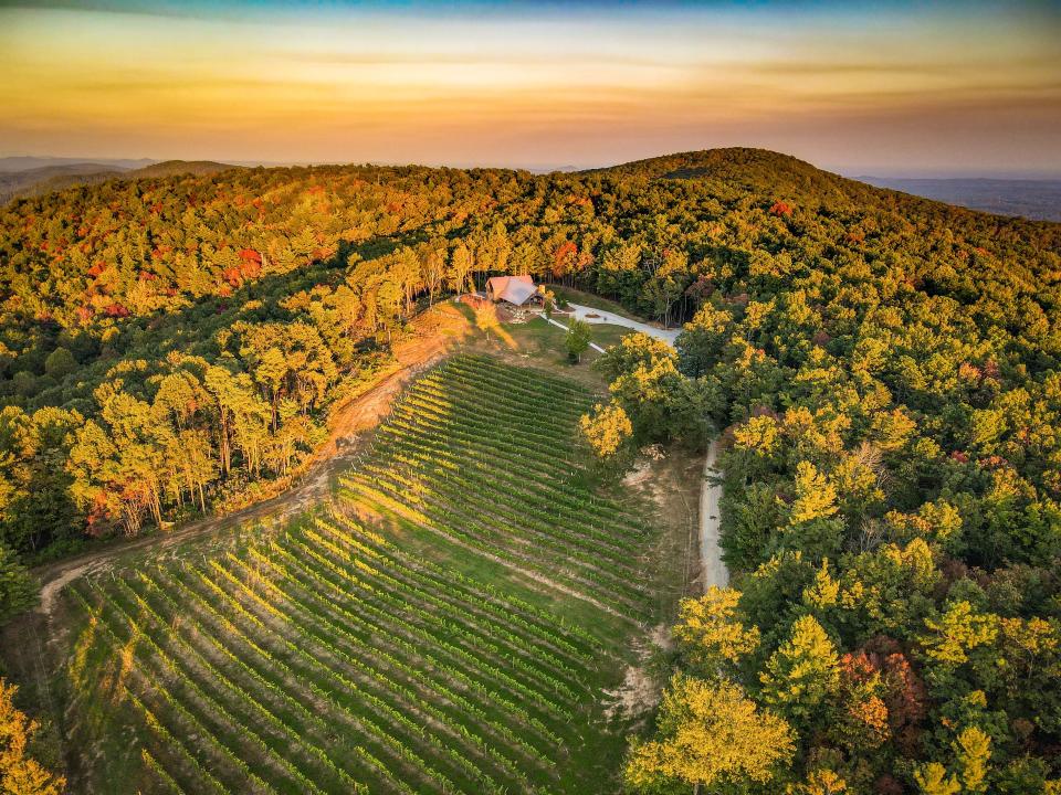 From stunning sunsets to nights by the fire to wine, the vineyard sits on 124 acres surrounded by miles of national forest. It offers a setting you won’t find anywhere else.