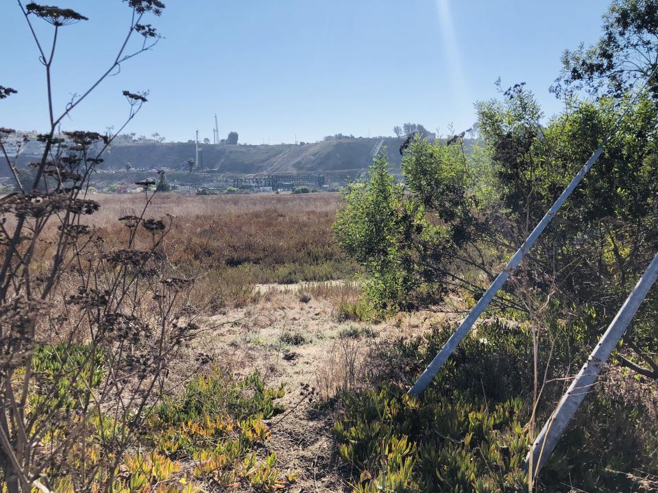 The Ballona Wetlands in Marina del Rey