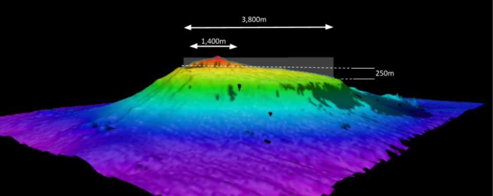 “The seamount is located in the Guatemala basin ... in an area of the seafloor that is roughly 20 million years old,” the institute said.