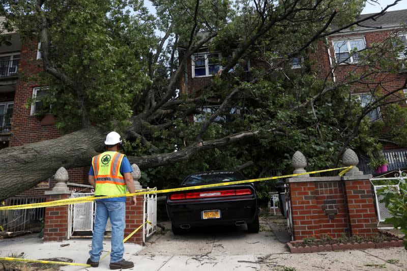 A New York City worker looks at the damage from a tree that has fallen on a house and car during the clean up of Tropical Storm Isaias in the Astoria neighborhood of Queens, New York