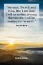 <p>“He says, ‘Be still and know that I am God; I will be exalted among the nations, I will be exalted in the earth.’”</p><p><strong>The Good News: </strong>Take comfort and peace in God’s strength.</p>