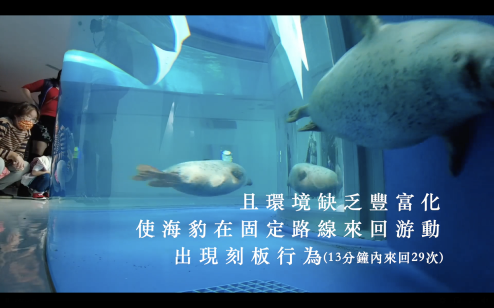 動保團體指出，館內海豹空間明顯不足。（翻攝自台灣防止虐待動物協會臉書）
