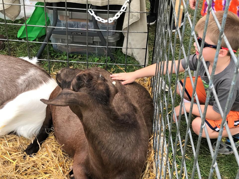 A child pets a goat at a petting zoo at the 2018 Mercersburg Townfest.