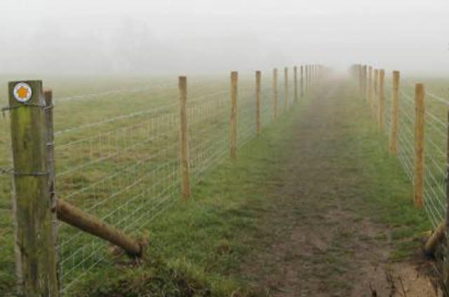 Barbed wire fences running across the land.