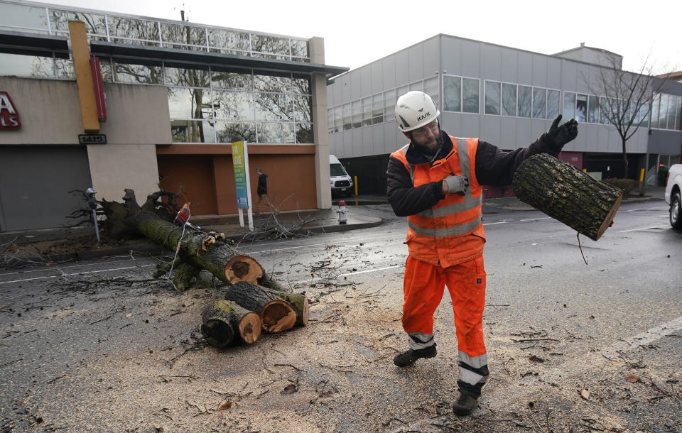 Sacramento City worker Kevin McClain moves a section of tree he cut up that was blown over by an overnight storm that swept through Sacramento, Calif., Wednesday, Jan. 27, 2021. (AP Photo/Rich Pedroncelli)