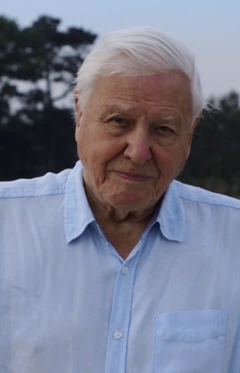 15) Sir David Attenborough