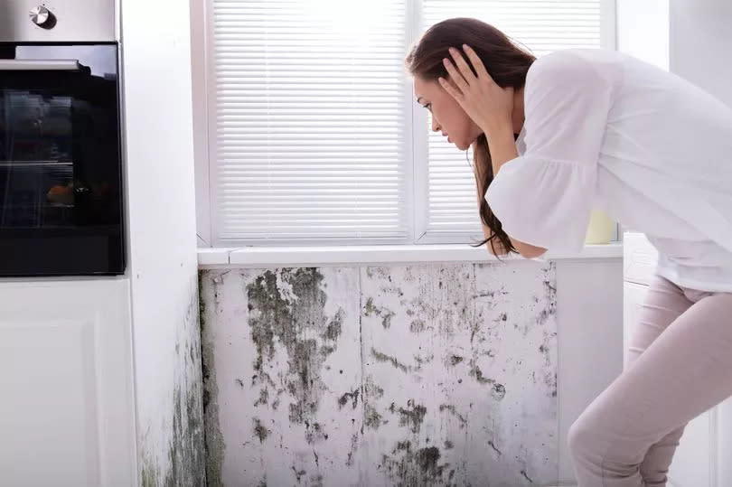 Close-up Of Woman looking at patch of mould