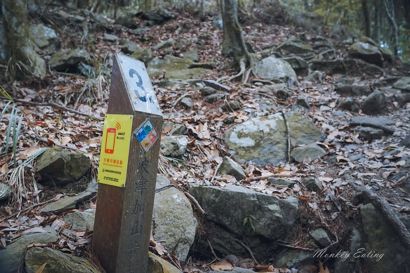 谷關七雄｜波津加山