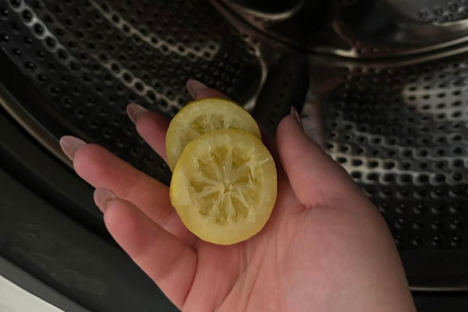 The Northern Echo: I didn't even find mashed up lemon inside my washing machine