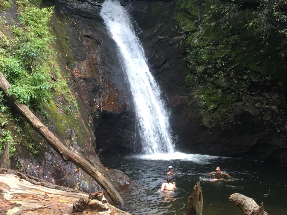 Courthouse Creek Falls is a popular destination in Pisgah National Forest in Transylvania County. Courthouse Creek Road, which leads from N.C. 215 to the trailhead, will be closed to vehicles until Dec. 31 for logging operations.