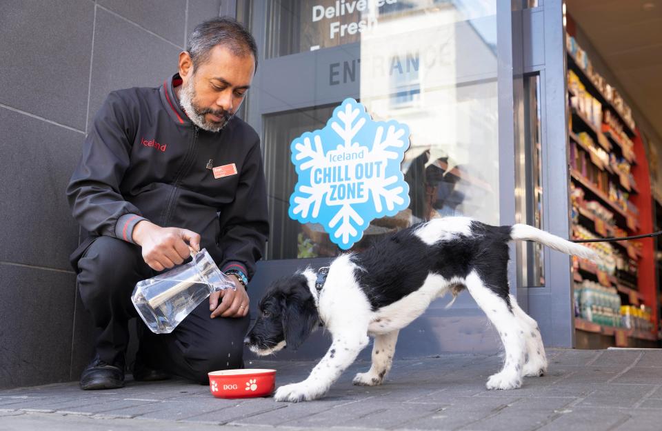 Store manager Evan Shahriar with Donny the Labradoodle in the ‘chill-out zone’ of an Iceland supermarket in Islington, a seating area in the freezer aisle designed to help customers cool down during the current heatwave (PA)