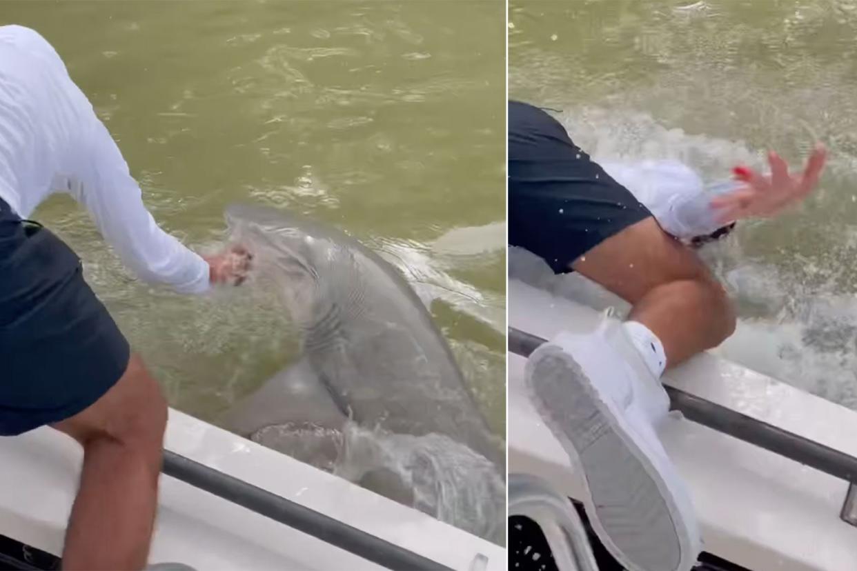 Watch: Shark Attacks and Pulls Angler Overboard in Florida Everglades photo