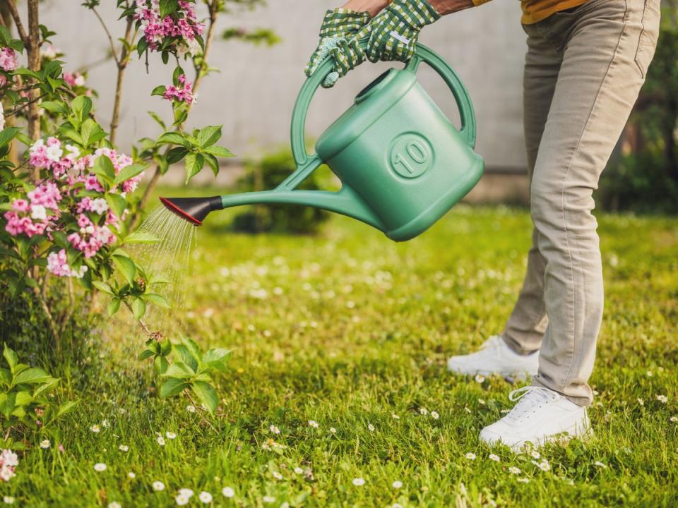 A woman watering plants in her garden (Getty Images) (Getty Images)