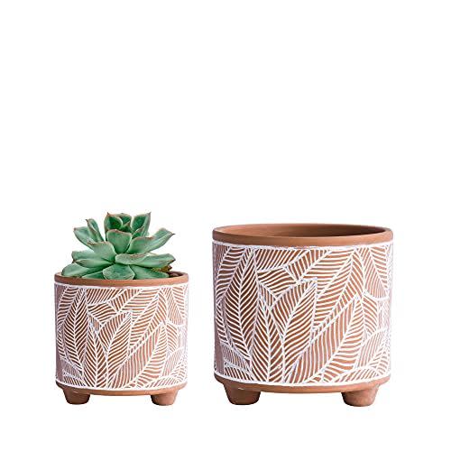 4) Terracotta Planter Pots, Set of 2