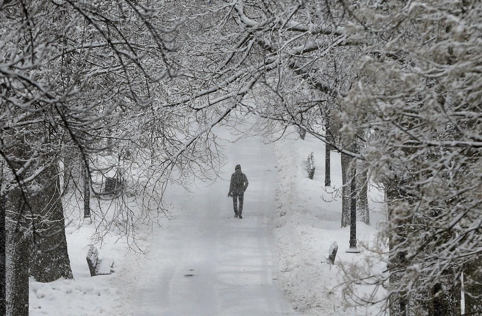 A pedestrian is under snow covered trees on Boston Common in Boston, Tuesday, Feb. 18, 2014. A speedy winter storm that blew through parts of the Great Lakes and East on Tuesday is expected to leave a trail of warmer weather and rain that should provide a respite for residents weary of weeks of bitter cold but also create the potential for flooding and collapsing roofs in some areas. (AP Photo/Michael Dwyer)