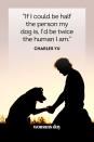 <p>“If I could be half the person my dog is, I'd be twice the human I am.”</p>