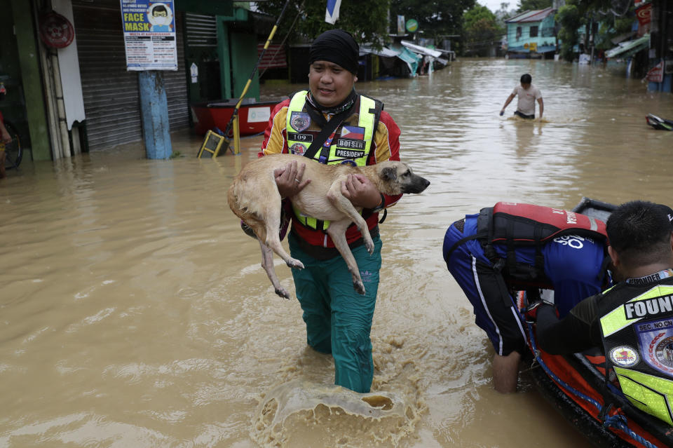 A rescuer carries a dog as floods continue to rise in Marikina, Philippines due to Typhoon Vamco on Thursday, Nov. 12, 2020. A typhoon swelled rivers and flooded low-lying areas as it passed over the storm-battered northeast Philippines, where rescuers were deployed early Thursday to help people flee the rising waters.(AP Photo/Aaron Favila)