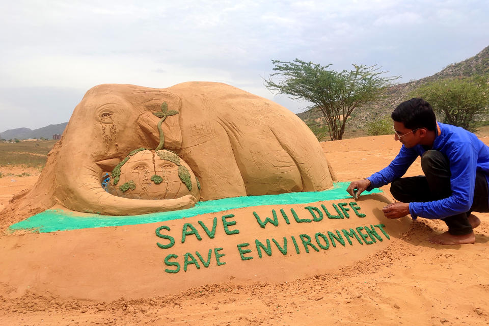 Sand Artist gives final touches to sand sculpture of an elephant, representing the recently killed wild pregnant elephant of Kerala, with the message 'Save Wildlife Save Environment', on the eve of World Environment Day, in Pushkar, Rajasthan, India on June 4, 2020. (Photo by Himanshu Sharma/NurPhoto via Getty Images)
