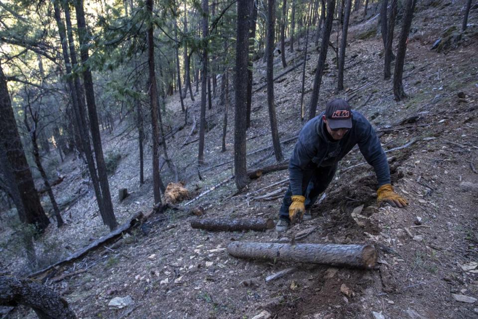A man moves small logs while making a trail in the woods