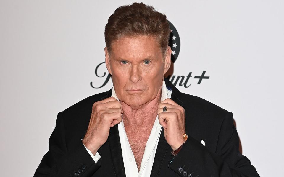 David Hasselhoff