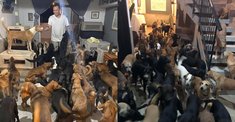 Ricardo, el rescatista que protegió a más de 300 animales de Delta, pide ayuda para alimentarlos