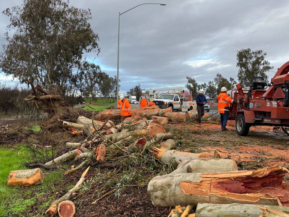Two people died in a chain-reaction collision on northbound Highway 99 in Goshen, California, on Tuesday, Jan. 10, 2023, after lightning struck a tree, causing it to fall on traffic.