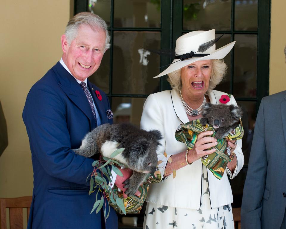 King Charles (then Prince of Wales) and Camilla, Queen Consort (then Duchess of Cornwall) hold koalas.