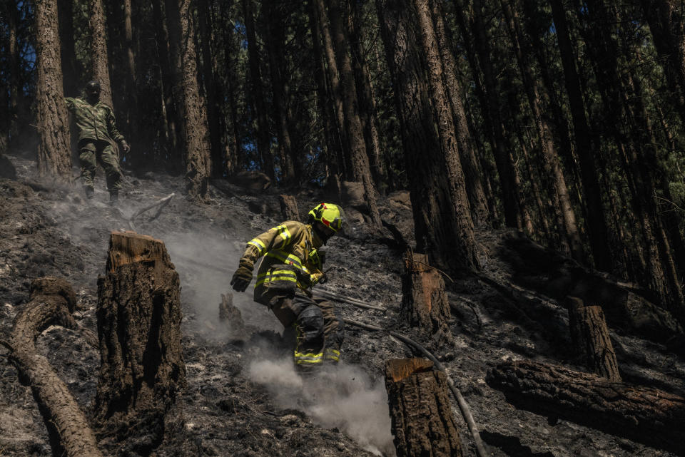 Unos 600 bomberos han estado combatiendo los incendios en las colinas que rodean Bogotá, la capital de Colombia. (Federico Rios/The New York Times)