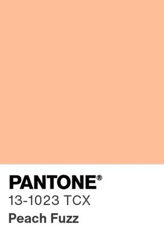 <p>Pantone</p> Pantone Color of the Year