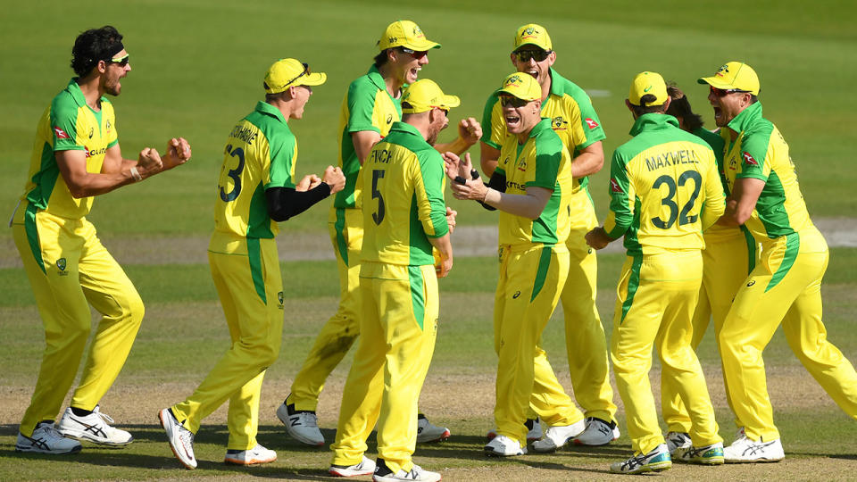 The Aussie cricket side is pictured here celebrating a wicket against England.