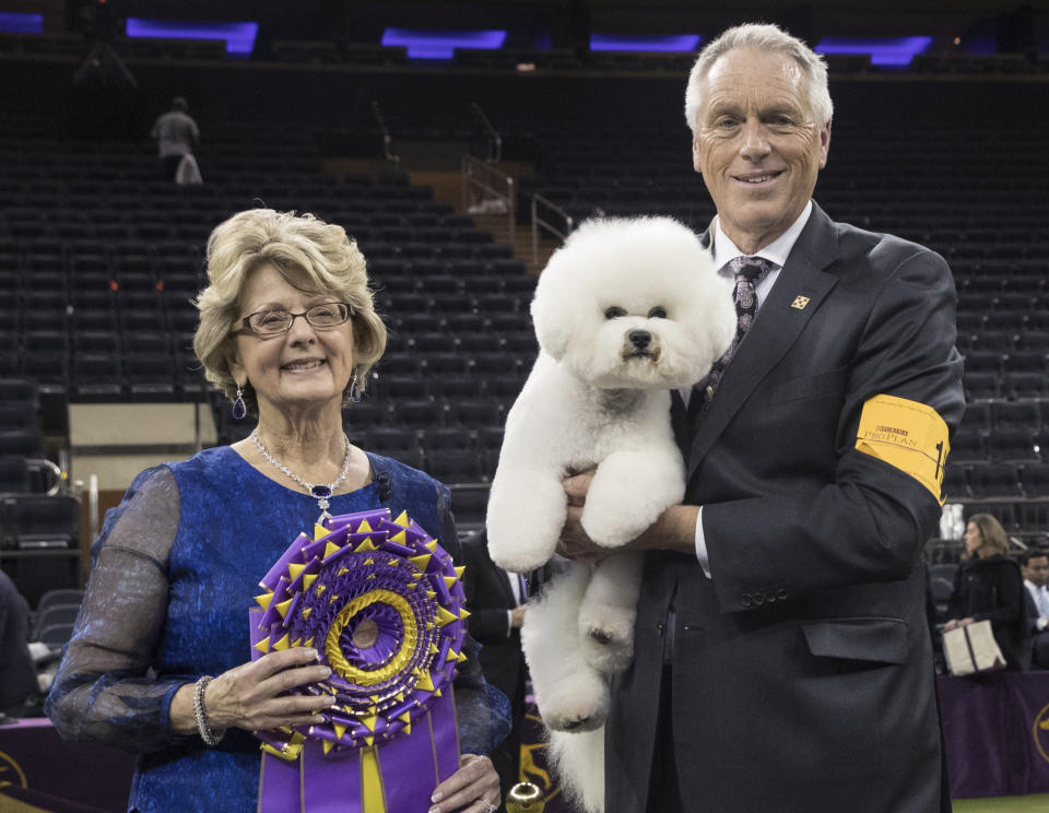 FILE - In this Feb. 13, 2018, file photo, handler Bill McFadden, right, poses for photos with Flynn, a bichon frise, and judge Betty-Anne Stenmark after Flynn won best in show during the 142nd Westminster Kennel Club Dog Show at Madison Square Garden in New York. McFadden, who has guided two Westminster winners, was rear-ended and injured while driving a van full of dogs cross-country to the show, his wife and fellow star handler, Taffe McFadden, said Saturday, June 12, 2021. (AP Photo/Mary Altaffer, File)