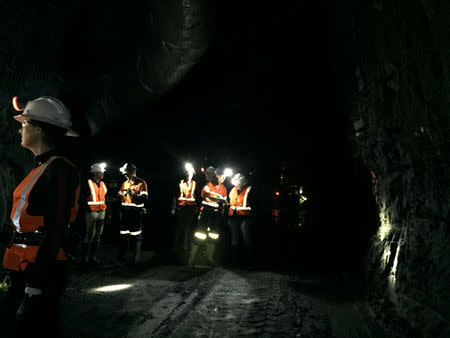 Analysts go underground at Independence Group's Nova nickel mine in Western Australia on August 4, 2018. Picture taken August 4, 2018. REUTERS/Melanie Burton