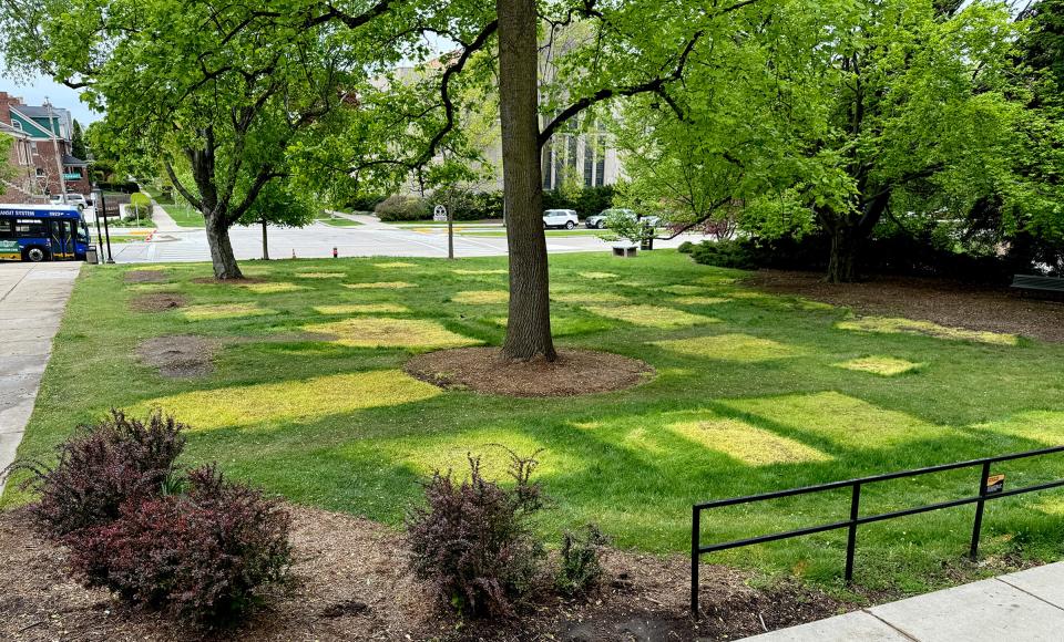 Patches of yellow grass remain Tuesday where an encampment once was outside Mitchell Hall on the University of Wisconsin-Milwaukee campus, where students were protesting the Israel-Hamas war. UWM and pro-Palestinian protesters reached an agreement Sunday afternoon,