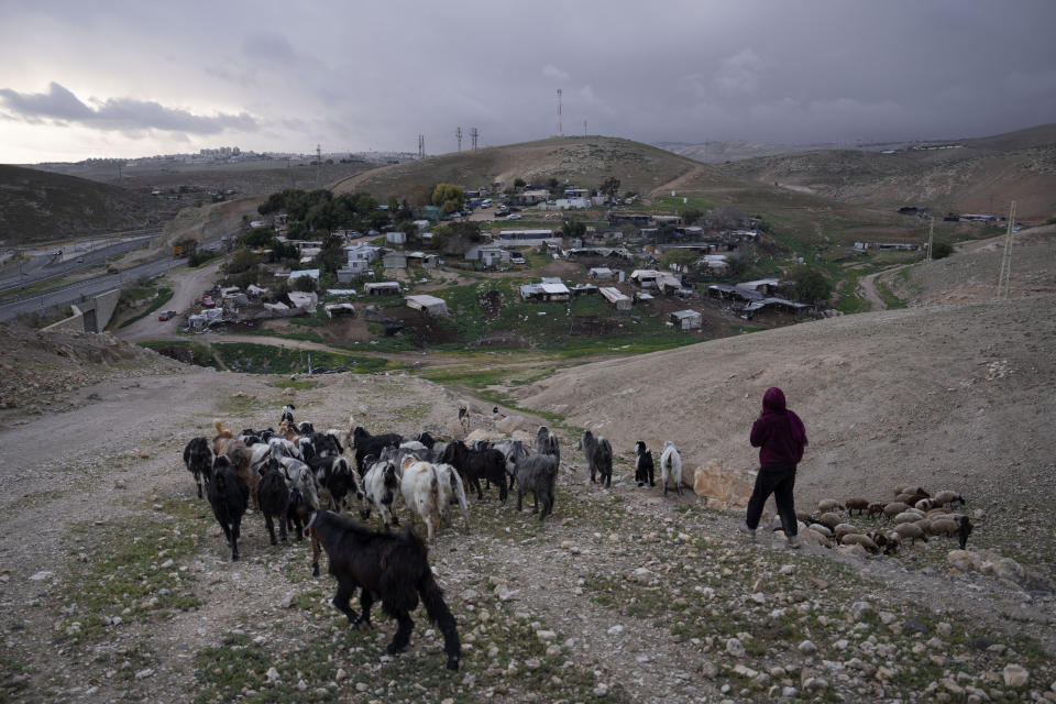 Bedouin shepherd leads her goats at the hamlet of Khan al-Ahmar in the West Bank, Tuesday, Jan. 31, 2023. The long-running dispute over the West Bank Bedouin community of Khan al-Ahmar, which lost its last legal protection against demolition four years ago, resurfaced this week as a focus of the frozen Israeli-Palestinian conflict. Israel's new far-right ministers vow to evacuate the village as part of a wider project to expand Israeli presence in the 60% of the West Bank over which the military has full control. Palestinians seek that land for a future state. (AP Photo/Oded Balilty)