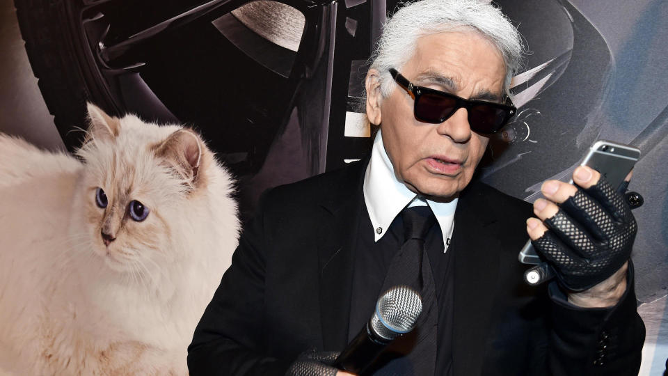 Karl Lagerfeld next to advert of his Birman cat choupette