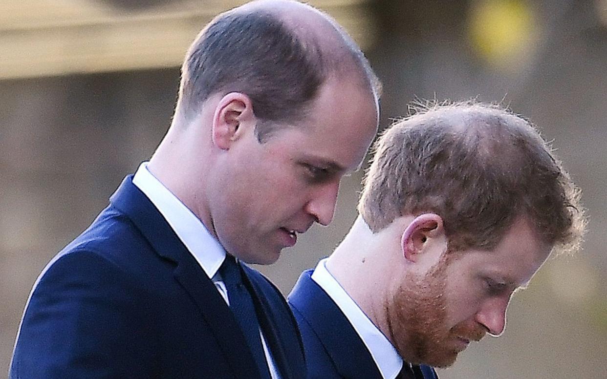 Assuming the brothers have not arranged a private meeting earlier on Saturday morning, it is the first time they will see each other in the flesh in over a year - Andy Rain/EPA-EFE/Shutterstock