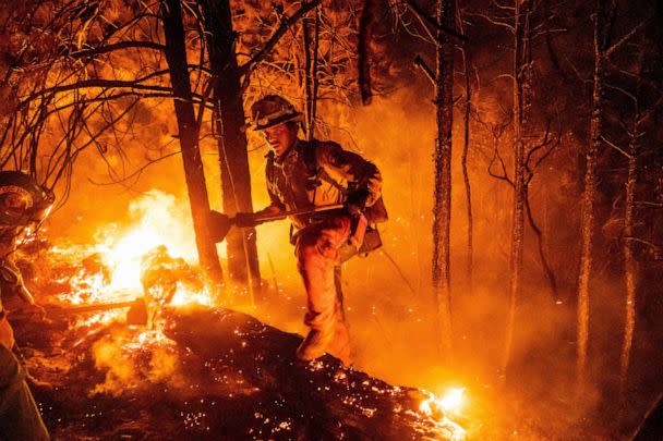 PHOTO: Firefighter Christian Mendoza manages a backfire, flames lit by firefighters to burn off vegetation, while battling the Mosquito Fire in Placer County, Calif., on Tuesday, Sept. 13, 2022. (Noah Berger/AP)